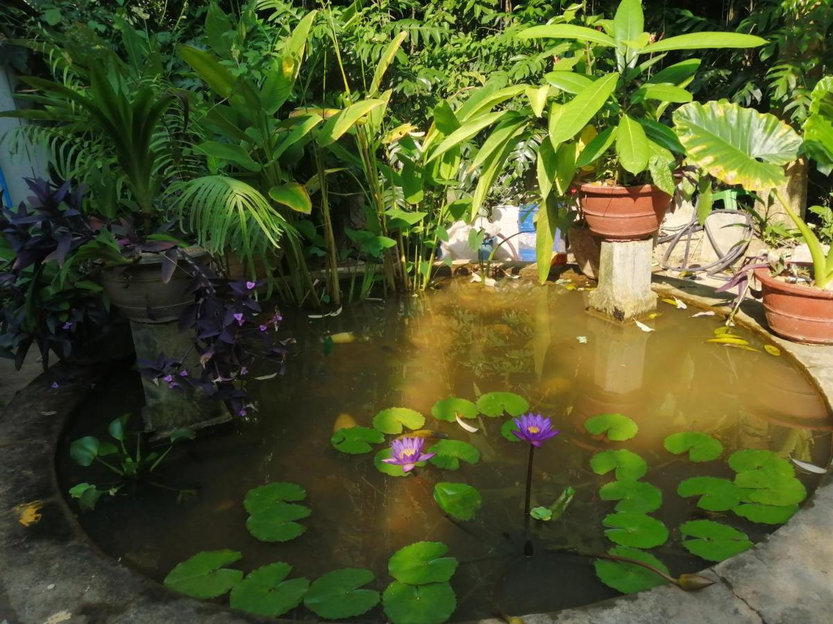 Kep Melting Potes Hotel Luaran gambar